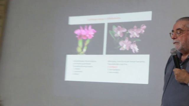 ORQUÍDEAS , O QUE A DEFINE, GRUPO NObc , Plantar em Casa смотреть онлайн