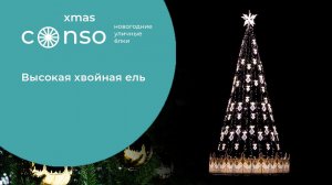 Высокая хвойная ель от #consoxmas