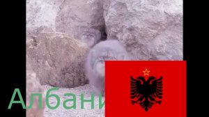 1 манул...2 манула НА 20 ЯЗЫКОВ МИРА