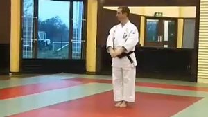 Wado Ryu Karate Kata Naihanchi