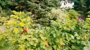 Астрахань какой мы ее увидели ? Ворота Каспия ? Достопримечательности.