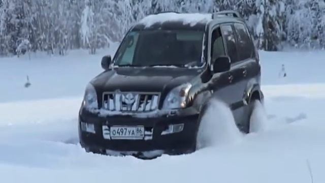 Прадо зимой 2.wmv смотреть онлайн