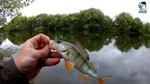 На Пахру со спиннингом