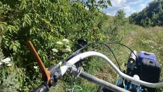 Не получилось мотоблоком, копаем чеснок вручную