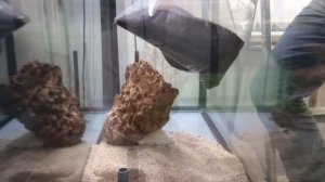 Оформление аквариума в стиле "Акваскейп". Часть 1 - Основа хардскейпа