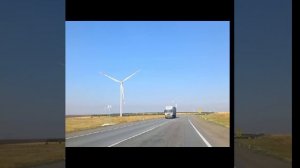 Птицы летят на юг