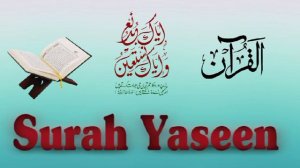 Surah Yaseen | Yasin Dua| episode 86 |tilawat Quran beautiful voice Sokoon