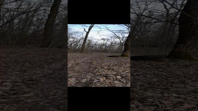САМСУНГ а51 разные условия видеосьемки