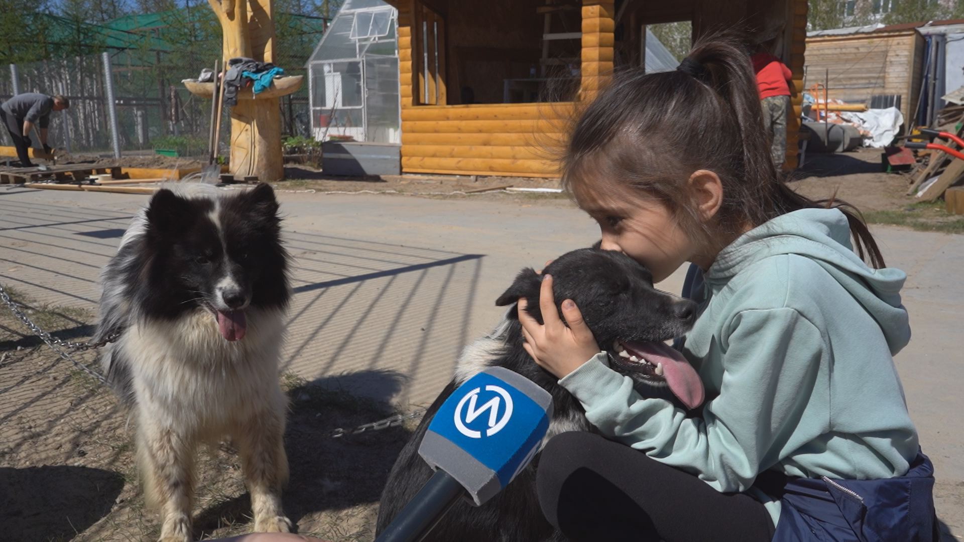 Впервые в Новом Уренгое работает летняя кинологическая школа