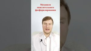 Механизм окислительного фосфорилирования. ЕГЭ Биология. ЕГЭ 2022.
