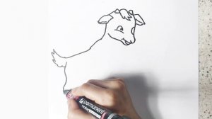 КАК НАРИСОВАТЬ ОВЦУ // НАРИСОВАТЬ ОВЕЧКУ // КАК НАРИСОВАТЬ ОВЕЧКУ // РИСУНКИ ДЛЯ СРИСОВКИ