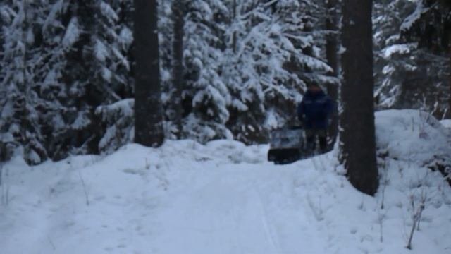 Отзыв владельца мотособаки Мужик Плесецк
