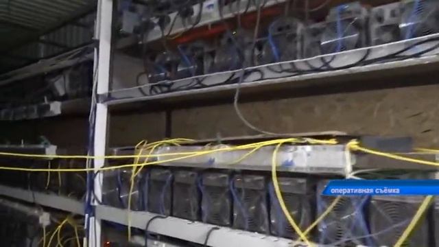 Майнинговую ферму "накрыли" в Петропавловске смотреть онлайн