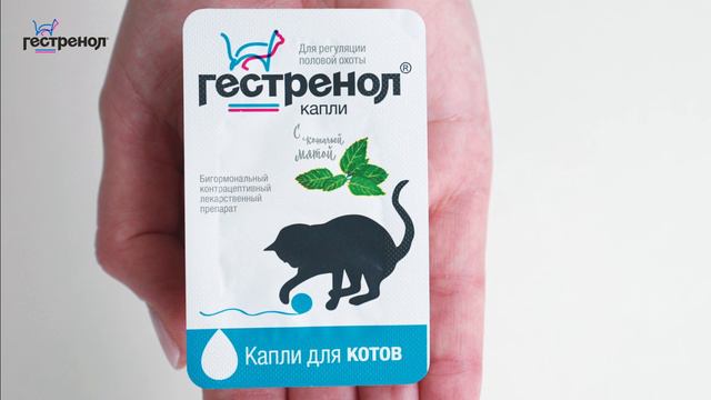 Гестренол капли для котов