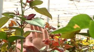 Профессия. Агроном.