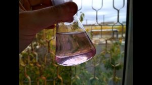 Химико-биологический анализ водного объекта