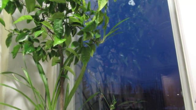 Во Храм... смотреть онлайн