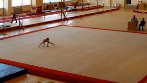 вольные 1 юношеский разряд по спотивной гимнастике