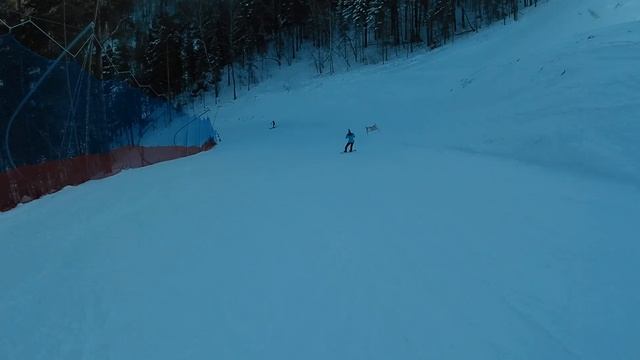 Бобровый лог. Трасса 9-А     15.02.2020г. смотреть онлайн