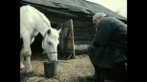 Сам я - вятский уроженец (желание завязать)