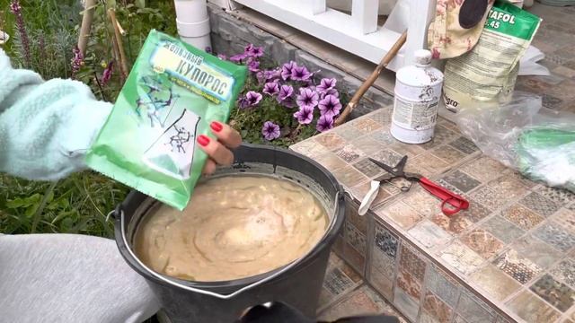 Обработка железным купоросом