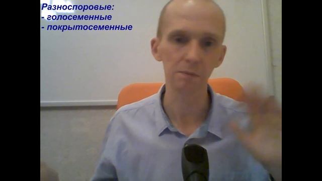 Равноспоровые и разноспоровые растения