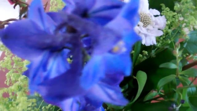 Close up van WK23 смотреть онлайн