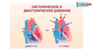 Нижний показатель давления: где норма