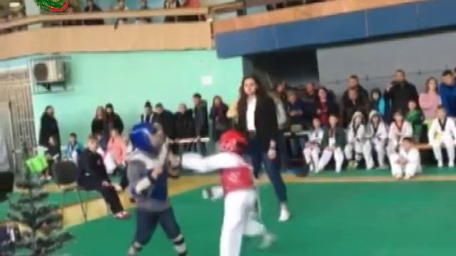 БЕРДЯНСК 02 01 2019 ТХЭКВАНДО смотреть онлайн