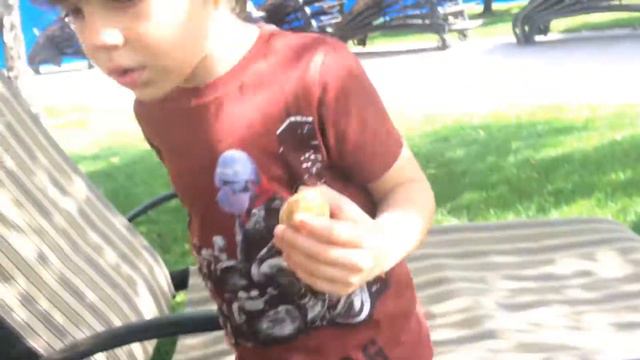 ВЛОГ купили улиток, играли с ними в 5 элементе смотреть онлайн