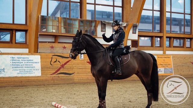 включить кск. спиридонов кск иваново. кск дерби конюшня. кск хорсека. кск ивановское хорсека.