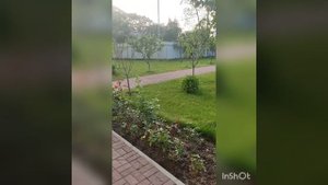 отель Европа Гагра часть 1