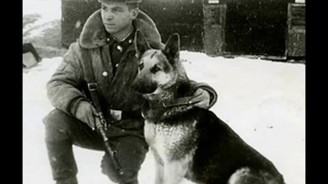 Нас заставляет вспоминать о доме.flv смотреть онлайн