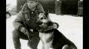 Нас заставляет вспоминать о доме.flv