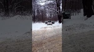 DL аудио грифон про 165 нео