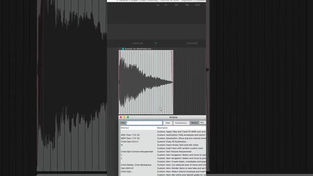 Как сделать Reverse в Reaper