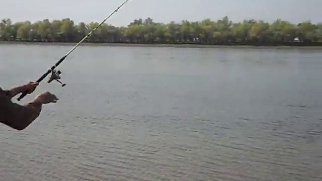 Как реально в Астрахани клюет вобла!!!