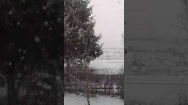 мартовский снег ❄ 2024 #снег #весна.mp4