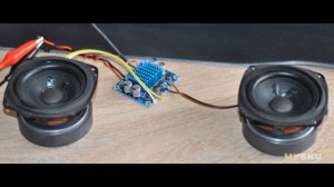 HW-404 двухканальная плата цифрового аудиоусилителя мощности | #Обзор