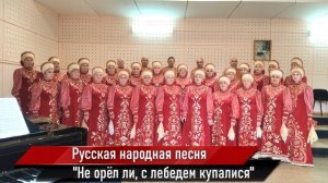 Казачья песня "Проезжала конница". Народный хор русской песни "Родные напевы".