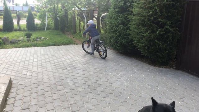 Велосипед Novatrack на 7 лет. Обзор. Мой новый велосипед, колёса на 20 дюймов смотреть онлайн