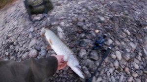 Красивая рыбалка в Мысках и очень хороший клев