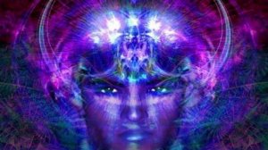 ВСЕЛЕНСКАЯ   КОНСТИТУЦИЯ. Часть 7. Избранное