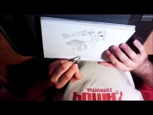 Test - Namiki Falcon pen