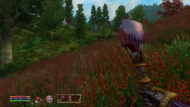 The Elder Scrolls 4 Oblivion смотреть онлайн