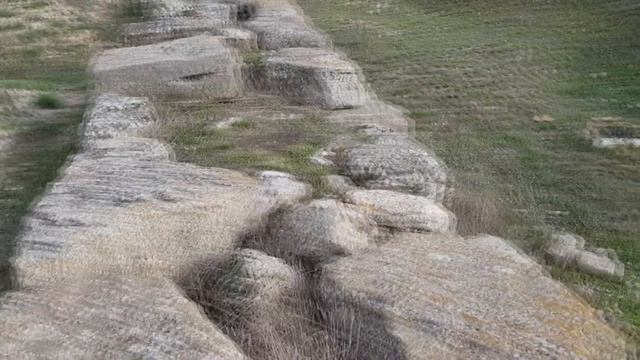 ОЛЬВИЯ