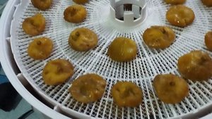 Цукаты из инжира в сушилке Ezidri