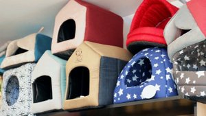 Зоо магазин Обзор