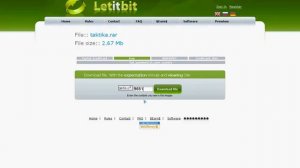 Как быстро скачать с Depositfils и Letitbit