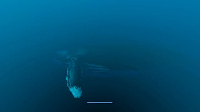 КИТ ► Stranded Deep #1. Животные смотреть онлайн